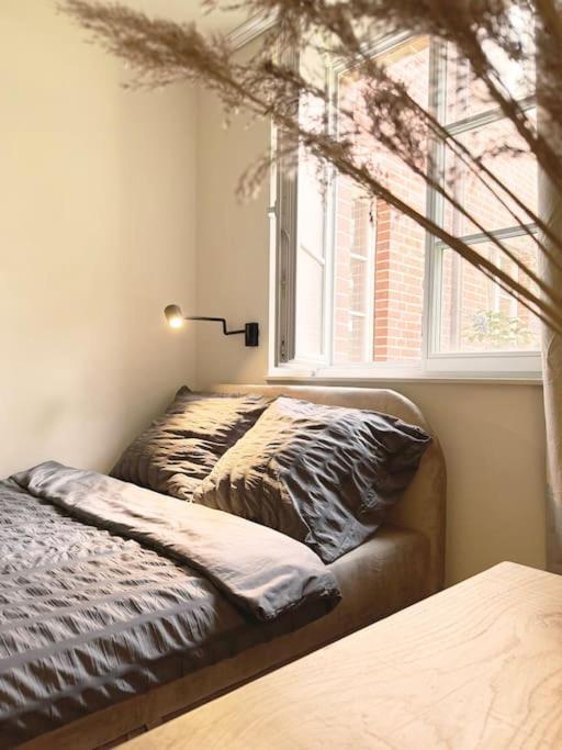 Natural Apartment In The City Center - Old Town ヴロツワフ エクステリア 写真