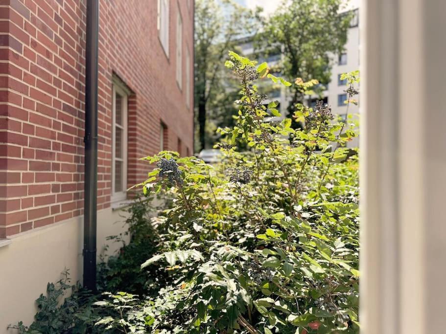 Natural Apartment In The City Center - Old Town ヴロツワフ エクステリア 写真